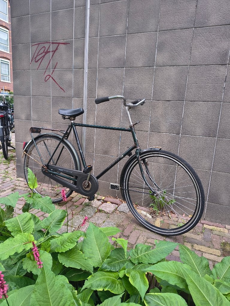 solide Gazelle met terugtraprem, Ophalen, Terugtraprem, Gebruikt, 57 tot 61 cm