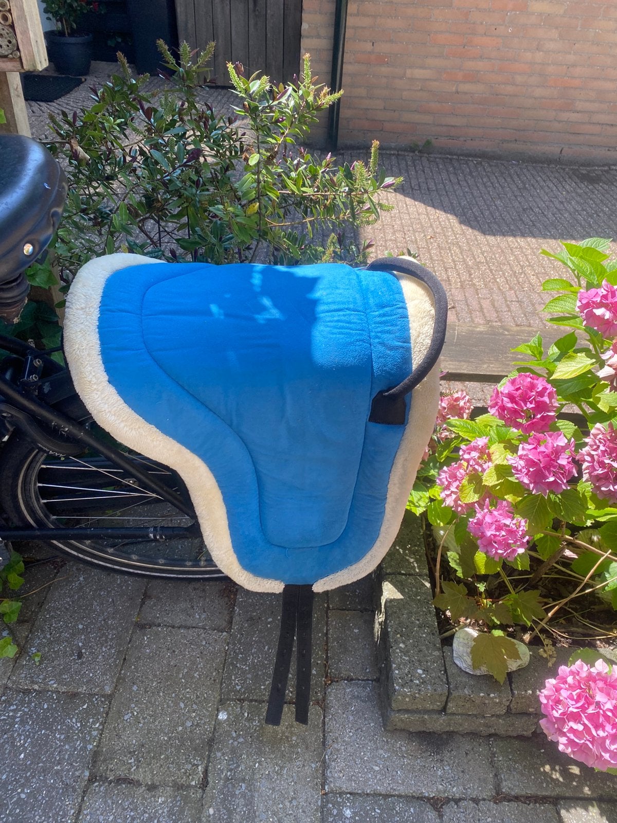 Barebackpad, Ophalen of Verzenden, Zo goed als nieuw, Dressuur, Schoeisel
