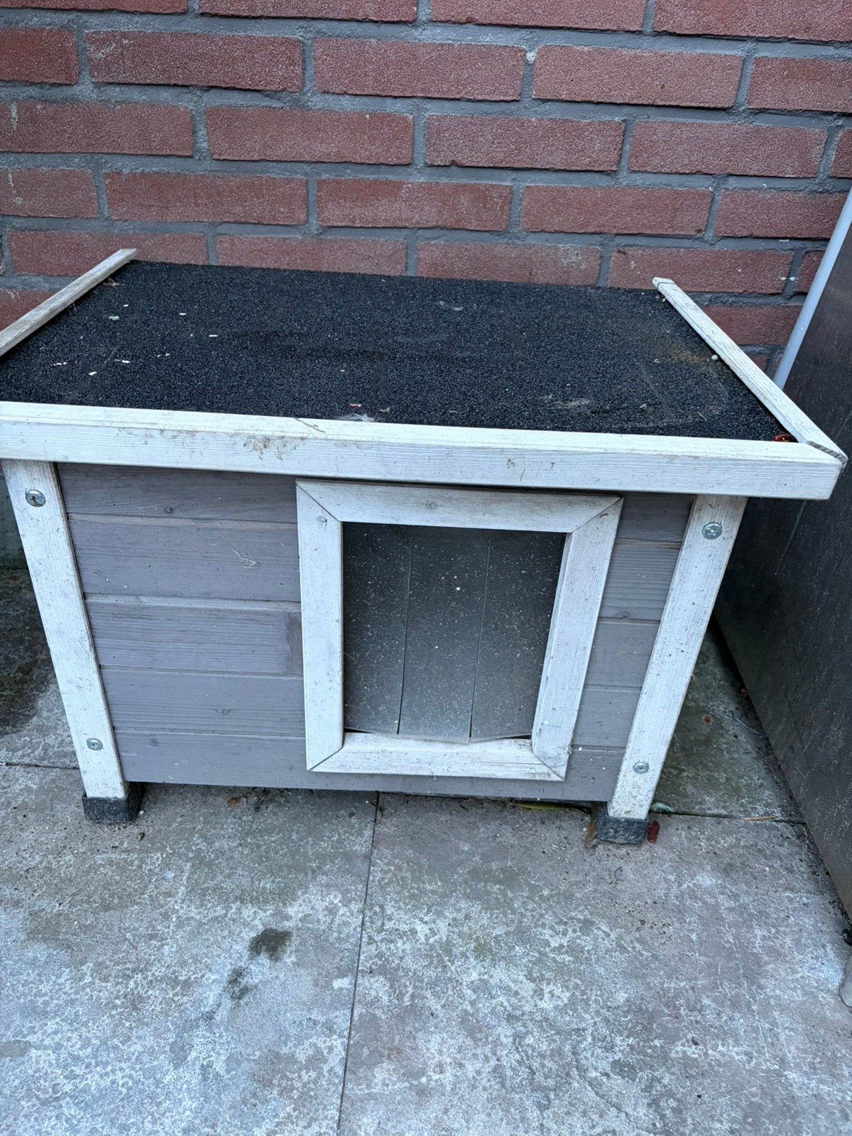 Kittenhuisje, Minder dan 60 cm, Kooi, Minder dan 75 cm, Ophalen of Verzenden