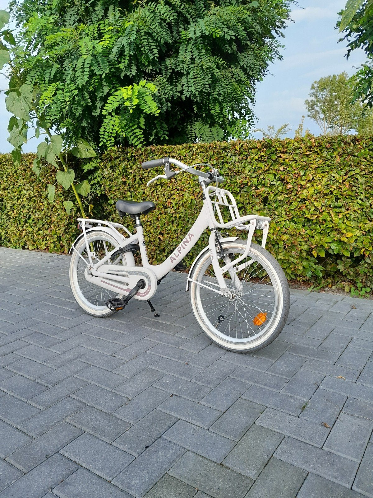 Alpina clubb 20 inch meisjesfiets, Ophalen, Gebruikt, 20 inch
