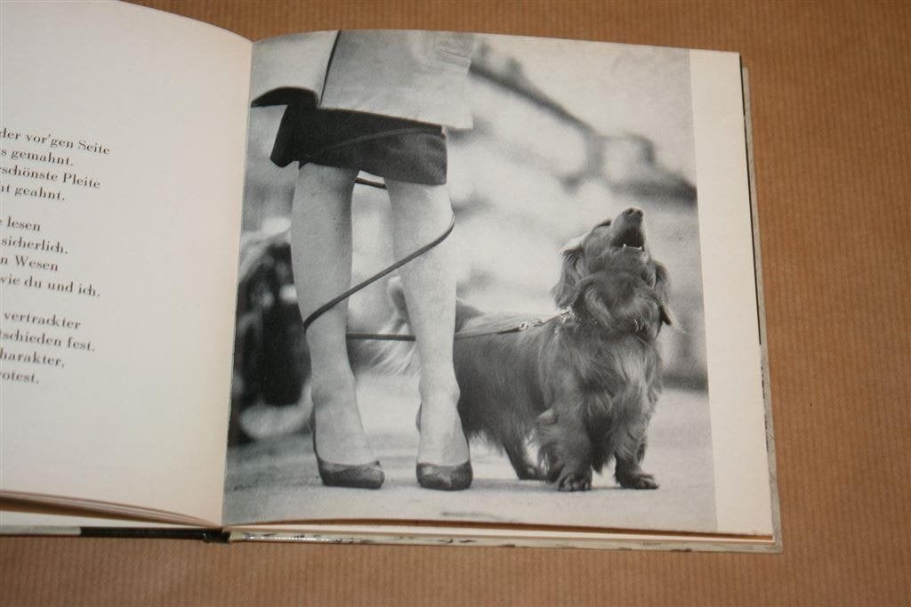 Dackel-Streiche. Boek over Teckels, veel foto\'s., Ophalen of Verzenden, Gelezen, Honden