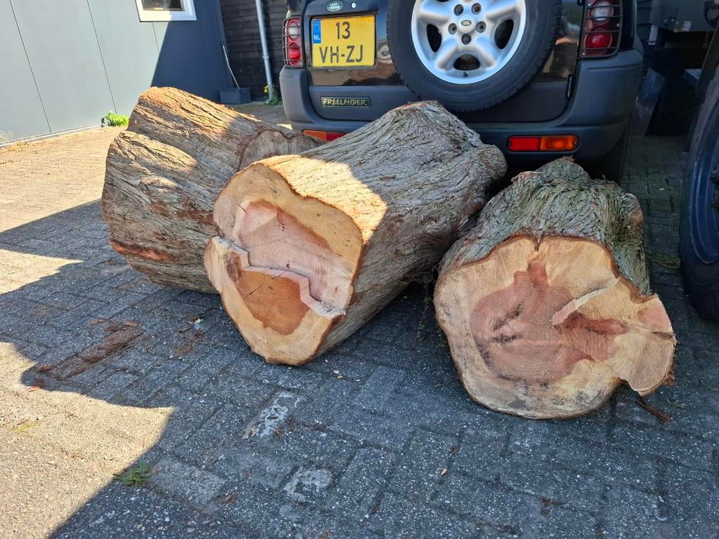 3 grote stammen brandhout / haardhout, Minder dan 3 m³, Ophalen