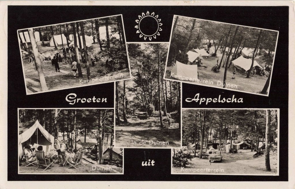 Appelscha Kampeerterrein Hildenberg L3073, Ophalen, 1960 tot 1980, Gelopen, Friesland