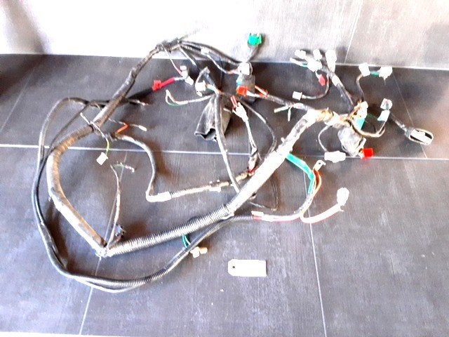 GTS250 2006 - 2011 Sym Kabelboom Kabelboom hoofd D1-55469