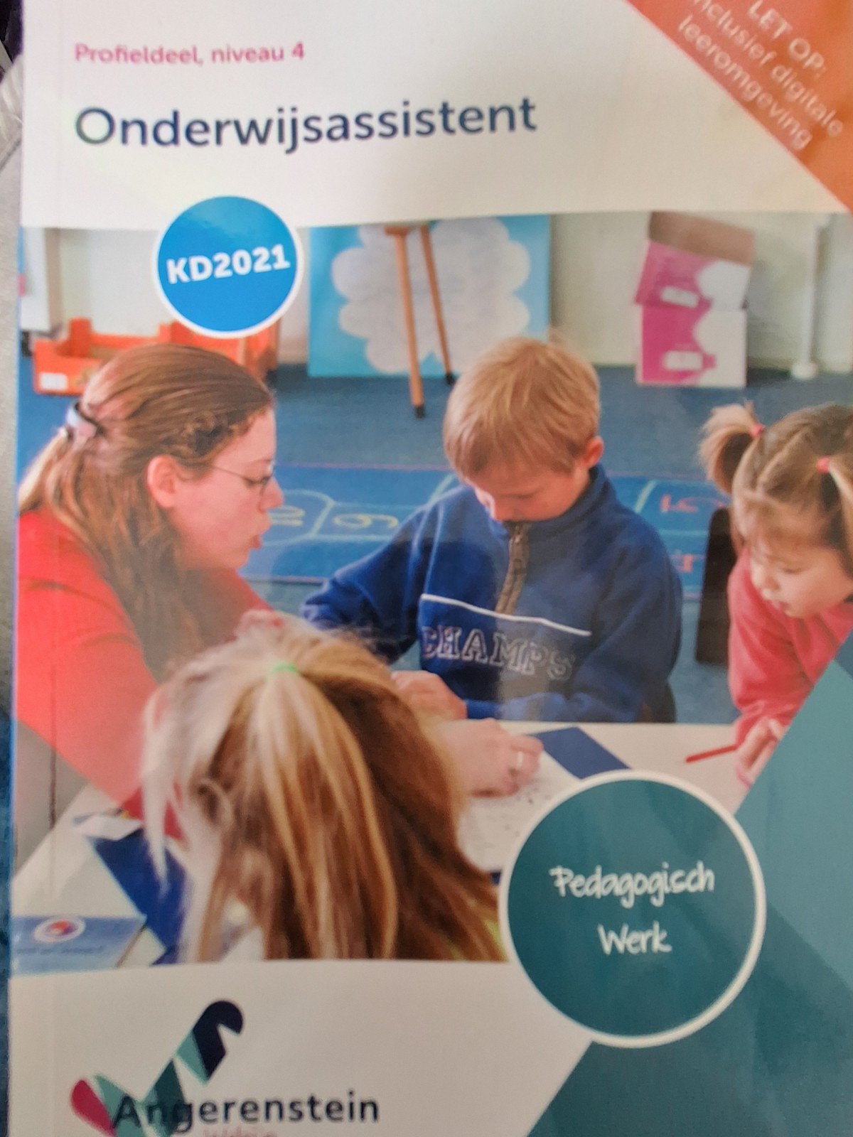 Onderwijsassistent Profieldeel Niveau 4 KD2021, Ophalen of Verzenden, Zo goed als nieuw, Overige niveaus, Overige vakken