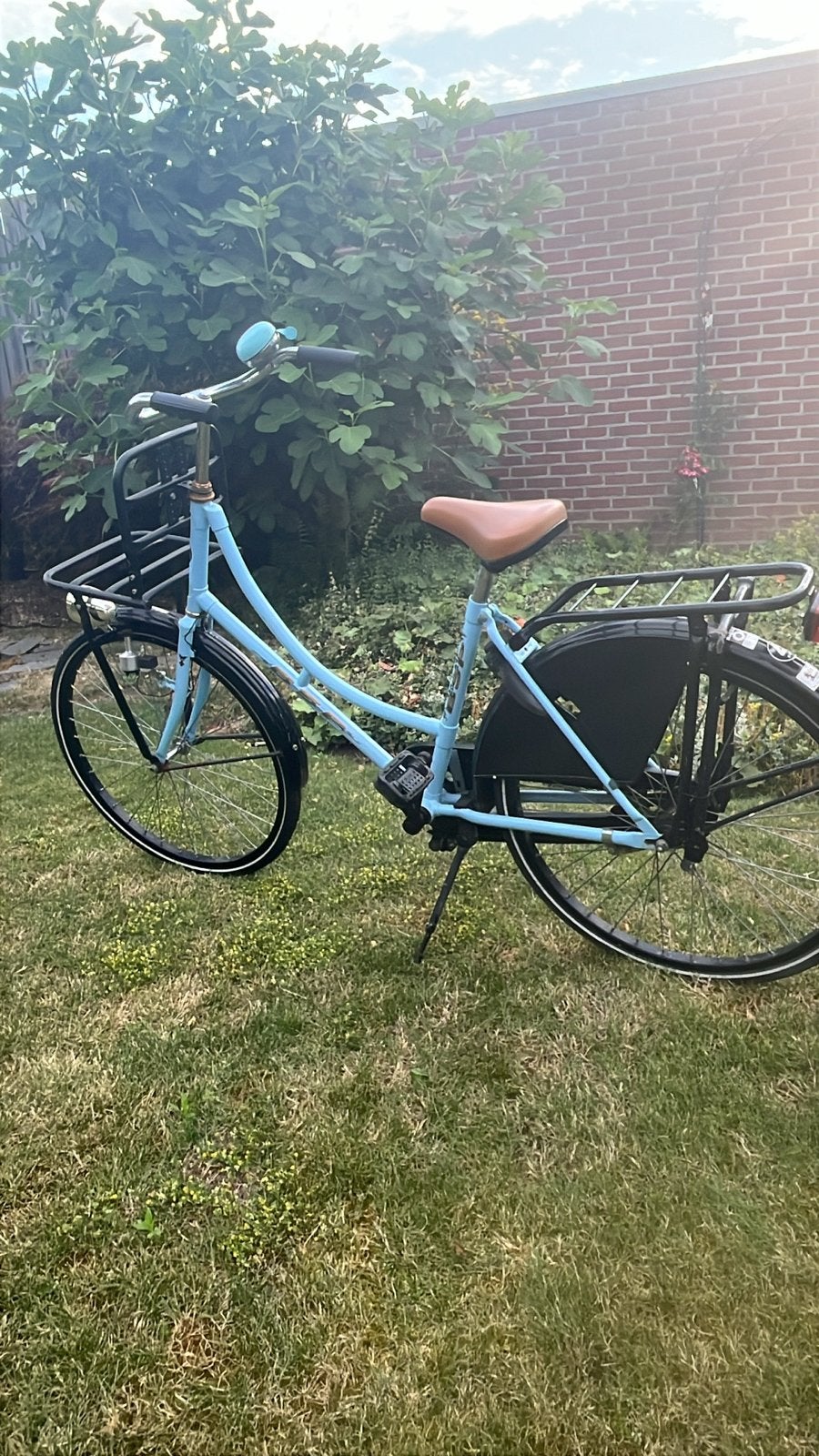 Blauwe kinder omafiets met voordrager, Minder dan 47 cm, Ophalen, Gebruikt, Terugtraprem