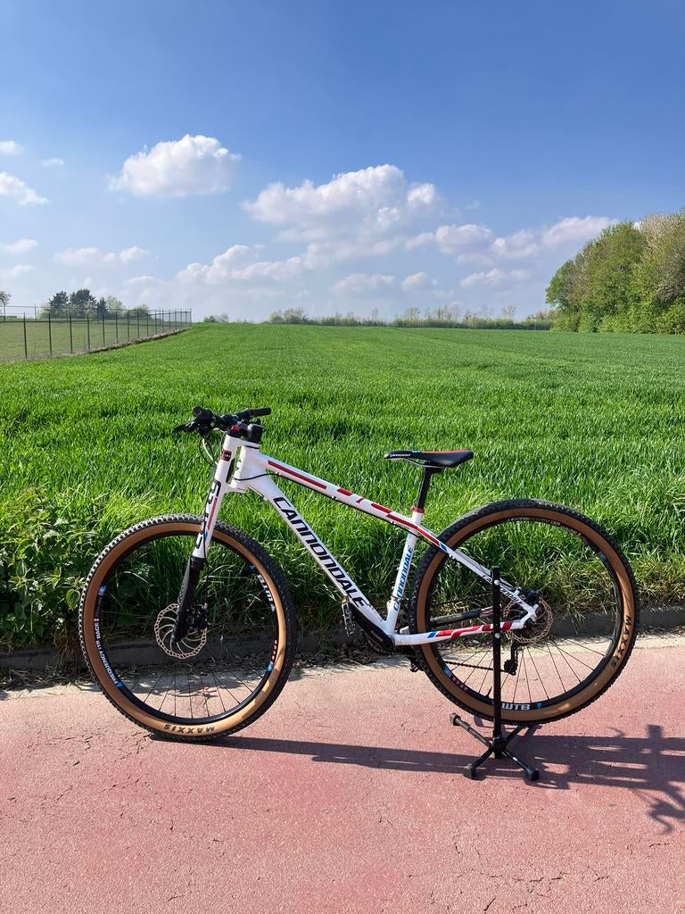 Mountainbike cannondale lefty 29er, Fietsen en Brommers, Hardtail, Heren, Zo goed als nieuw, Schijfrem