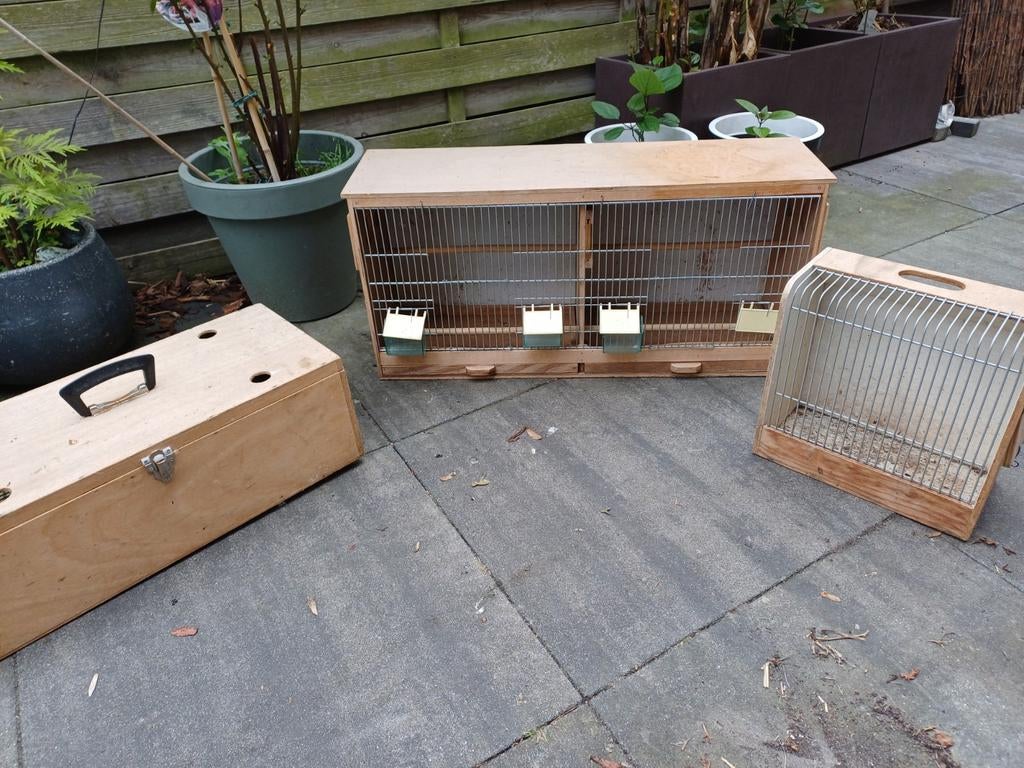 Transportkooi, Ophalen, Gebruikt, Hout, Vogelkooi