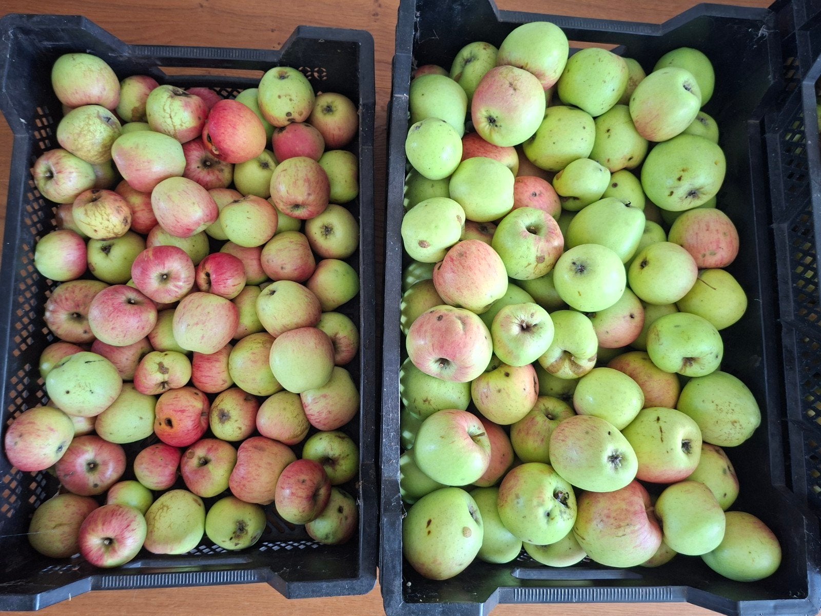 Appels - Groninger Kroon, Diversen, Ophalen