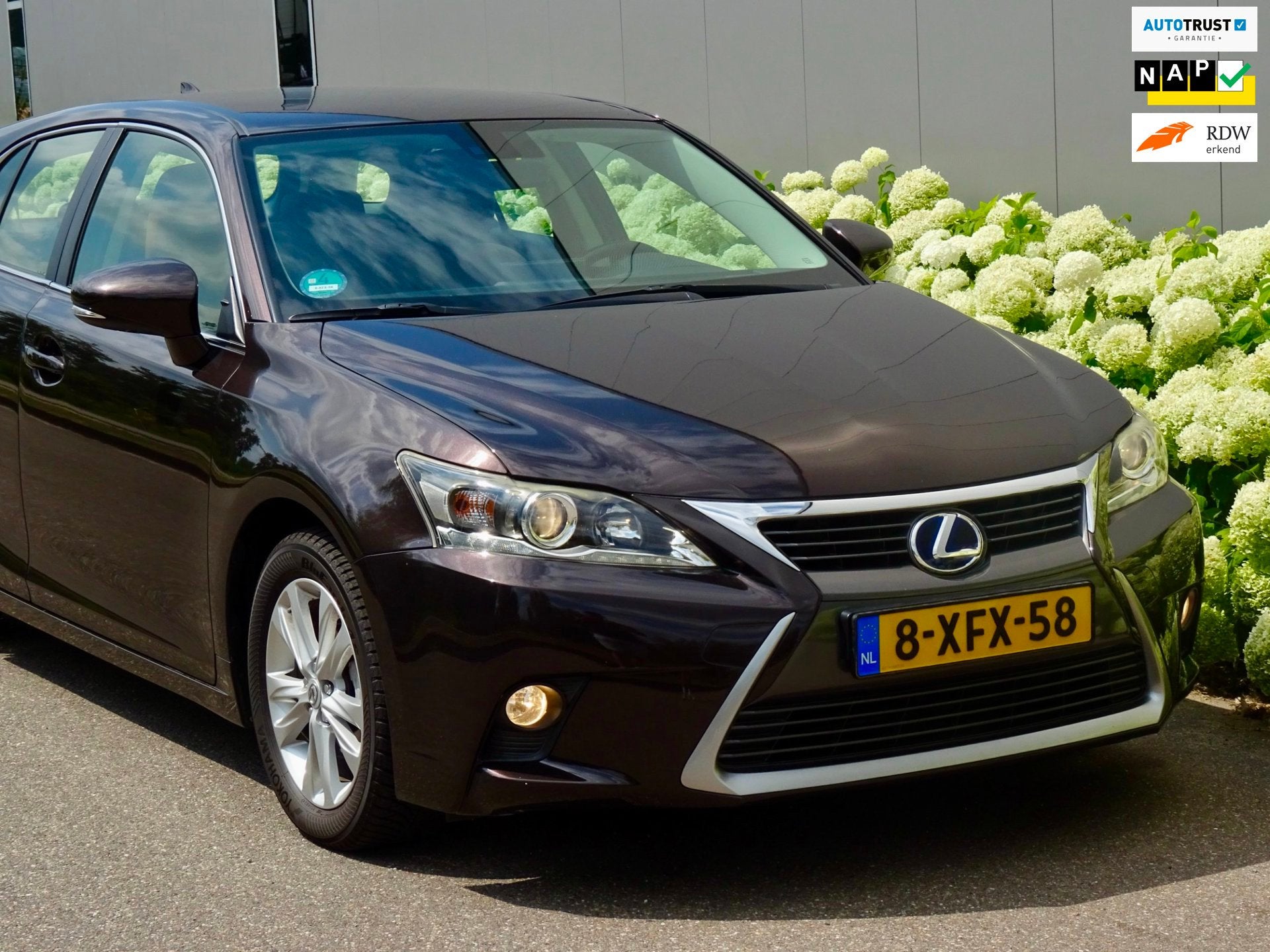Lexus CT 200h Luxury Sport | Leer | Navi | NL | Trekhaak |, Gebruikt, Euro 6, 4 cilinders, Bruin