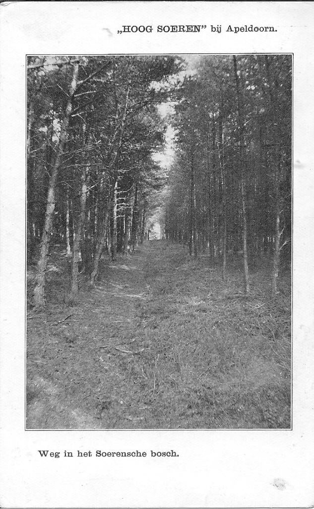 Hoog Soeren Weg in het Soerensche bosch., Ophalen of Verzenden, 1920 tot 1940, Ongelopen, Gelderland