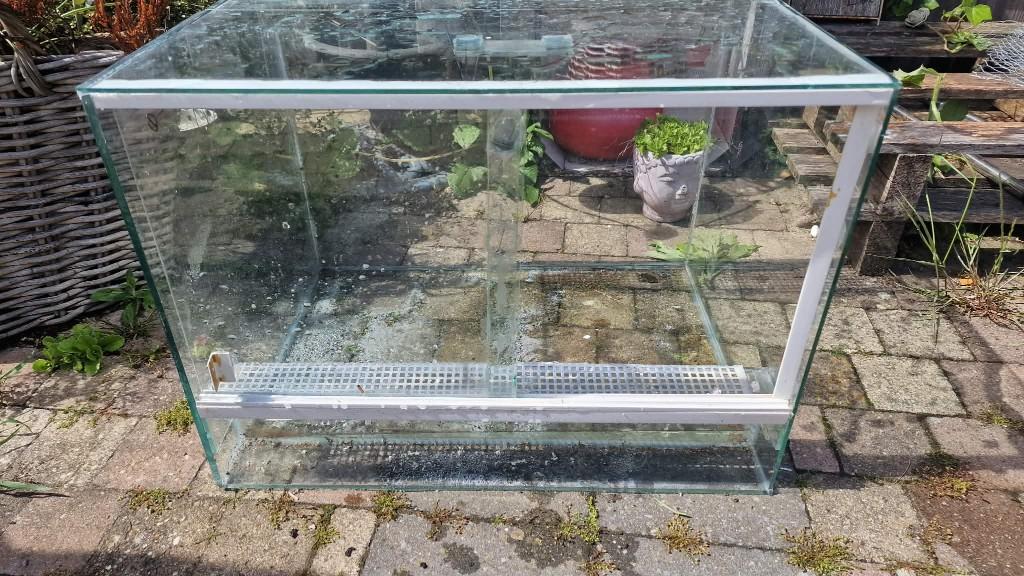 Terrarium, Ophalen, Gebruikt, Terrarium of Paludarium