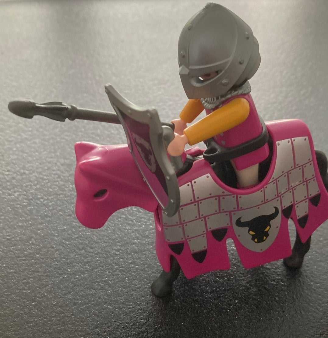 Playmobil Ridders - 38 Ridders, 5 Paarden en toebehoren, Ophalen of Verzenden, Gebruikt, Jongen of Meisje