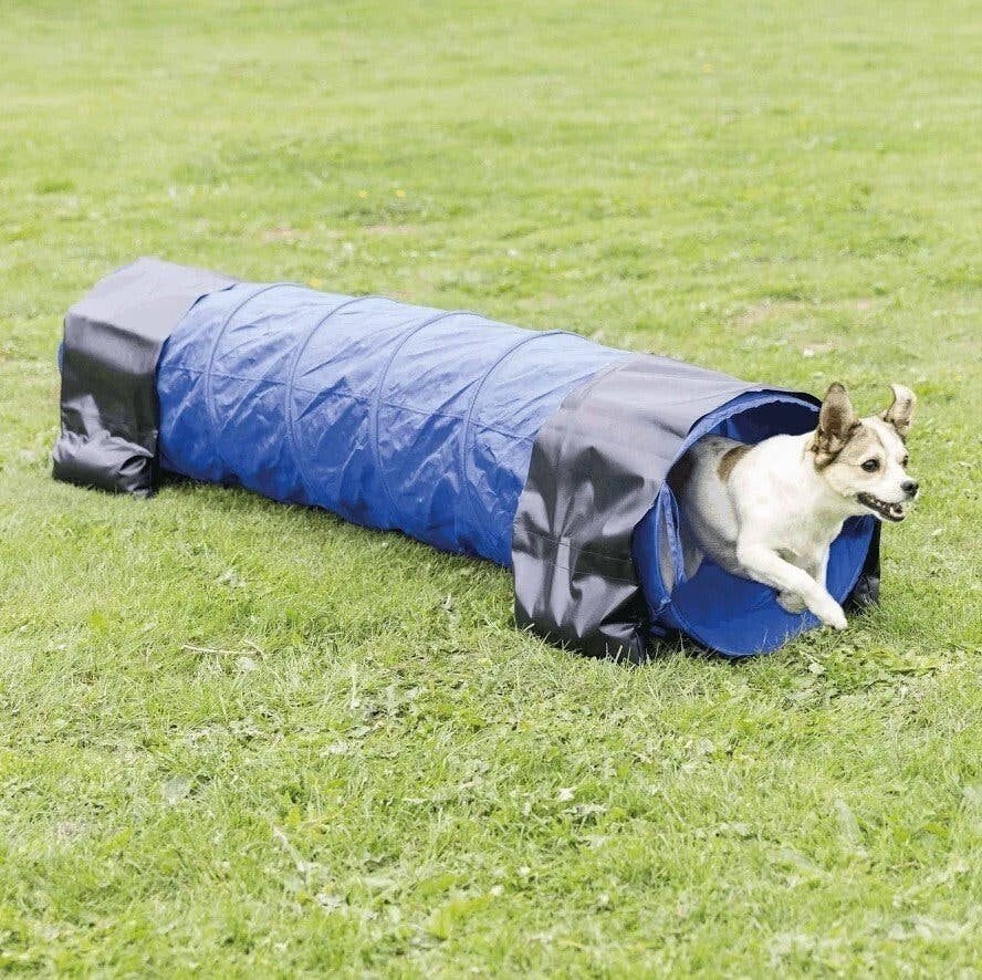 Trixie Dog Activity Agility Tunnel 200x40 cm – hondensport, Ophalen of Verzenden, Zo goed als nieuw, Behendigheidspeelgoed, Trixie