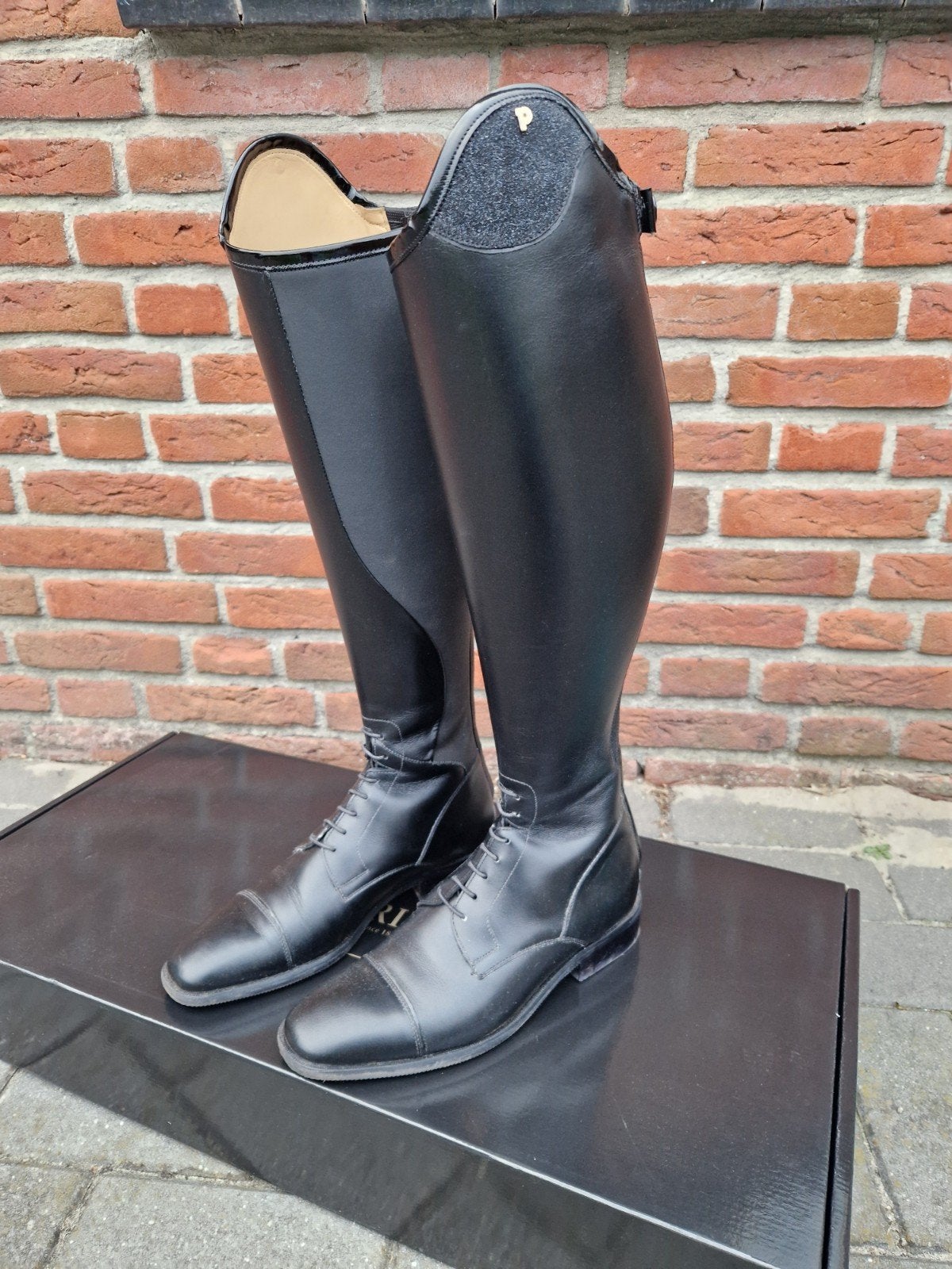 Petrie Riva rijlaarzen nieuw maat 39, Dieren en Toebehoren, Dressuur, Ritssluiting, Nieuw, Ophalen of Verzenden