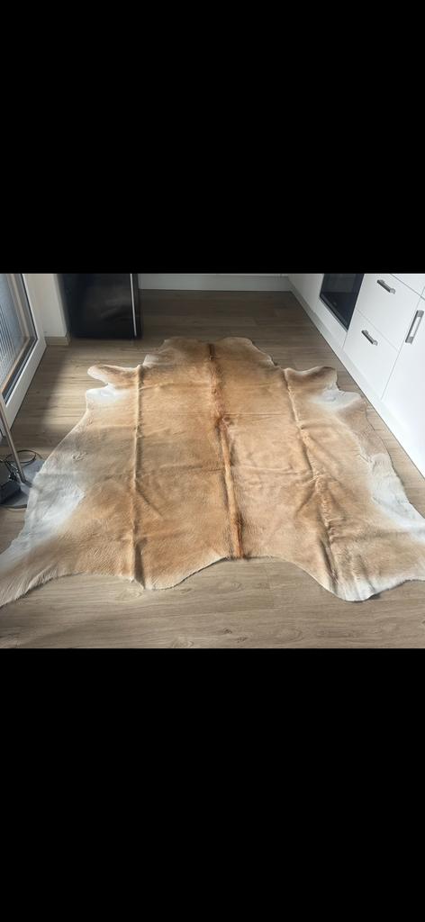 koeienhuid vloerkleed, Gebruikt, Zwart, 150 tot 200 cm, 200 cm of meer