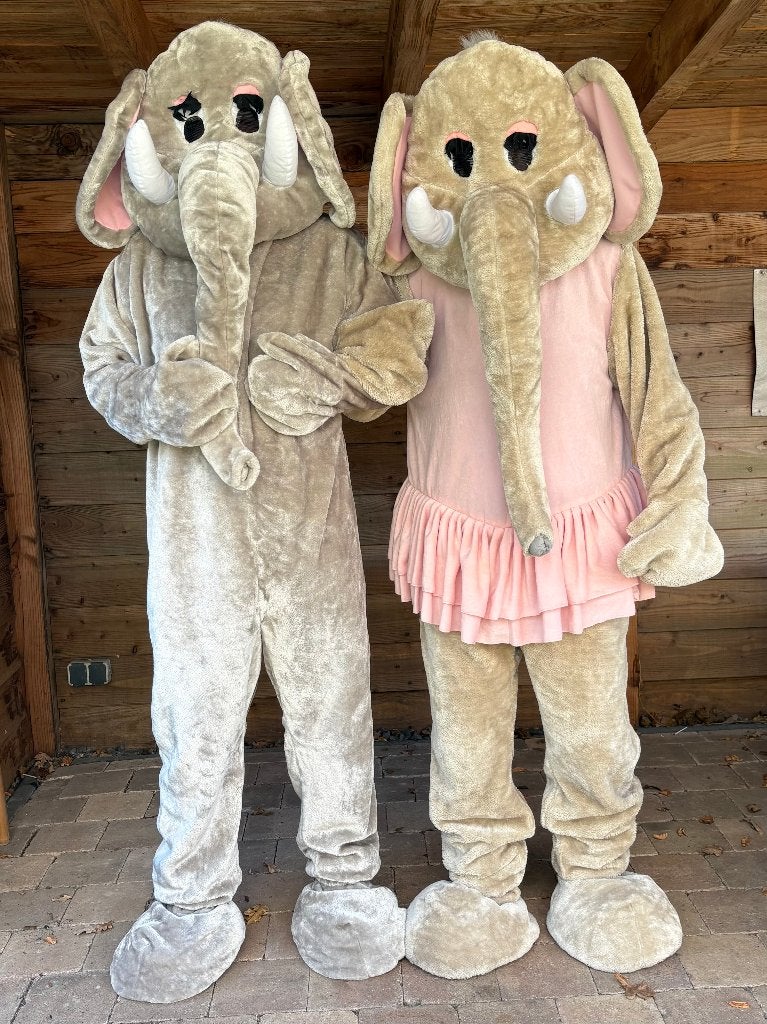 nu mannetjes en vrouwtjes olifant mascotte kostuum te huur, Ophalen of Verzenden, Zo goed als nieuw, Overige