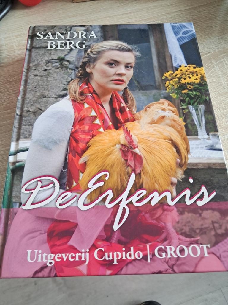 De Erfenis - Sandra Berg (Grote Letters, Prachtig Boek), Boeken, Romans, Ophalen of Verzenden, Gelezen, Sandra Berg, Nederland