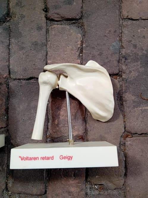 5 x Voltaren geigy anatomisch model knie schouder heup, Ophalen of Verzenden, Gebruikt