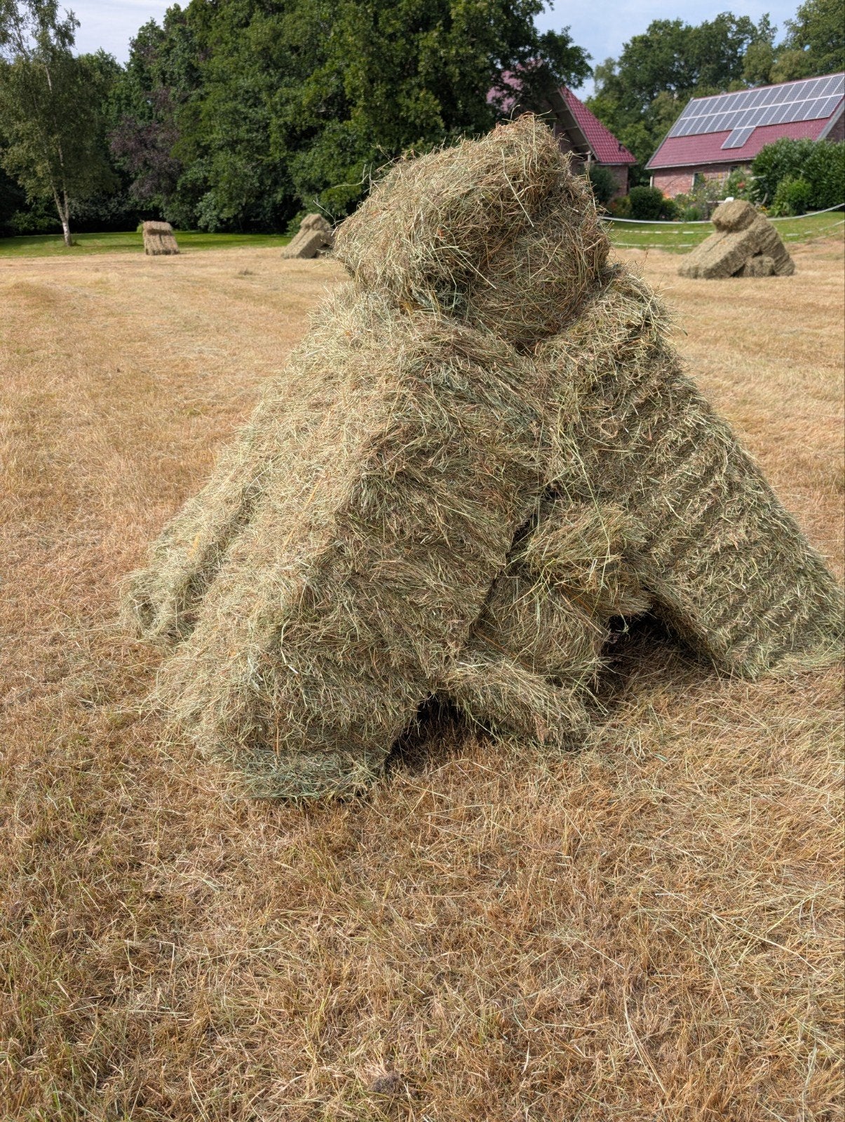 Hooi pakjes uiterst geschikt voor paarden, Ophalen