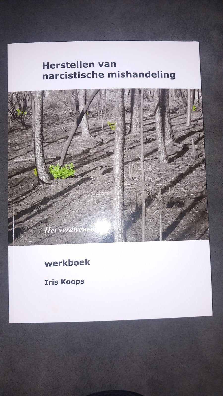 Iris Koops - Werkboek, Klinische psychologie, Ophalen of Verzenden, Zo goed als nieuw, Iris Koops