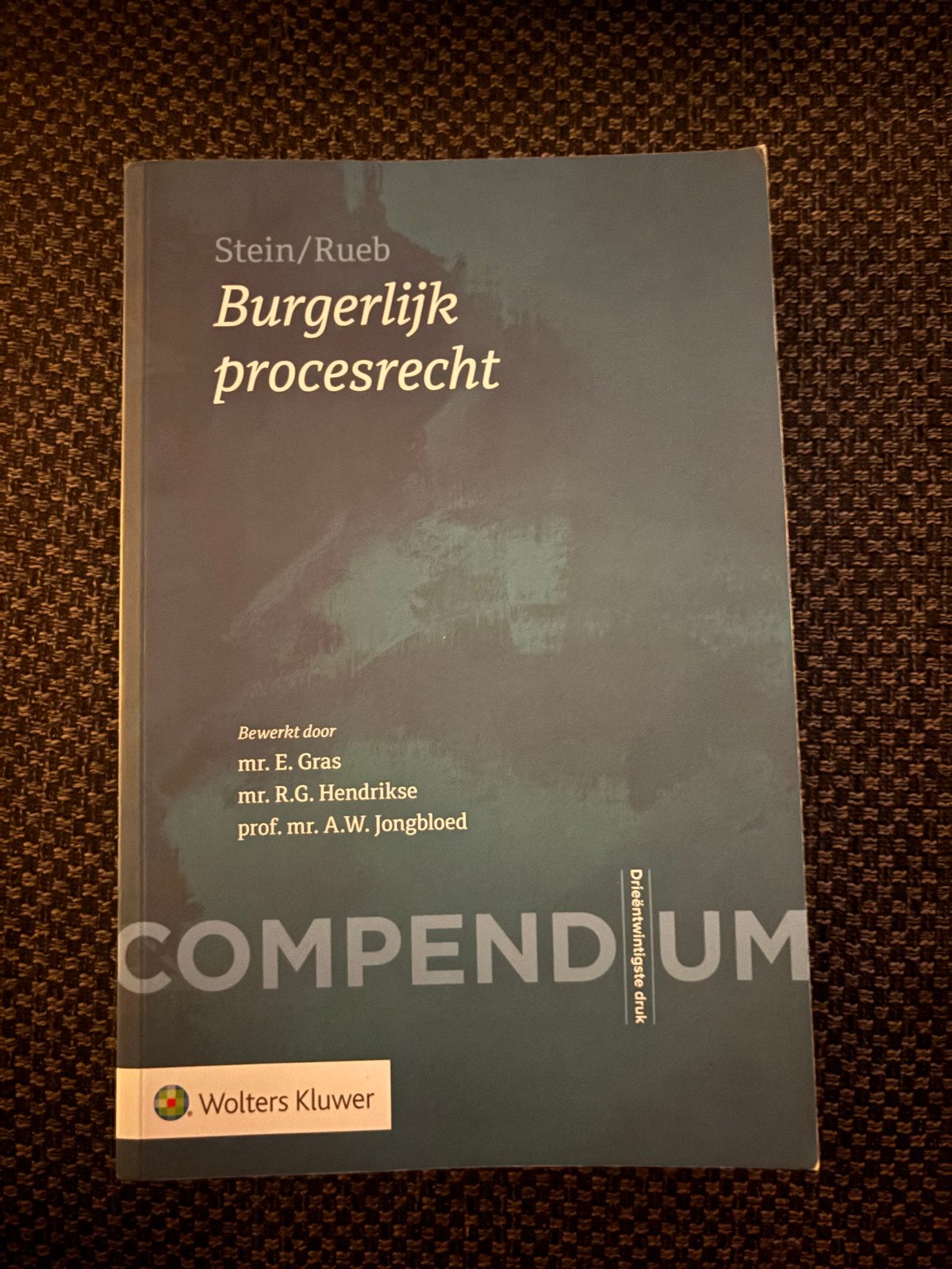 Stein/Rueb Burgerlijk procesrecht Compendium, Boeken, Studieboeken en Cursussen, Ophalen of Verzenden, Gamma, Zo goed als nieuw