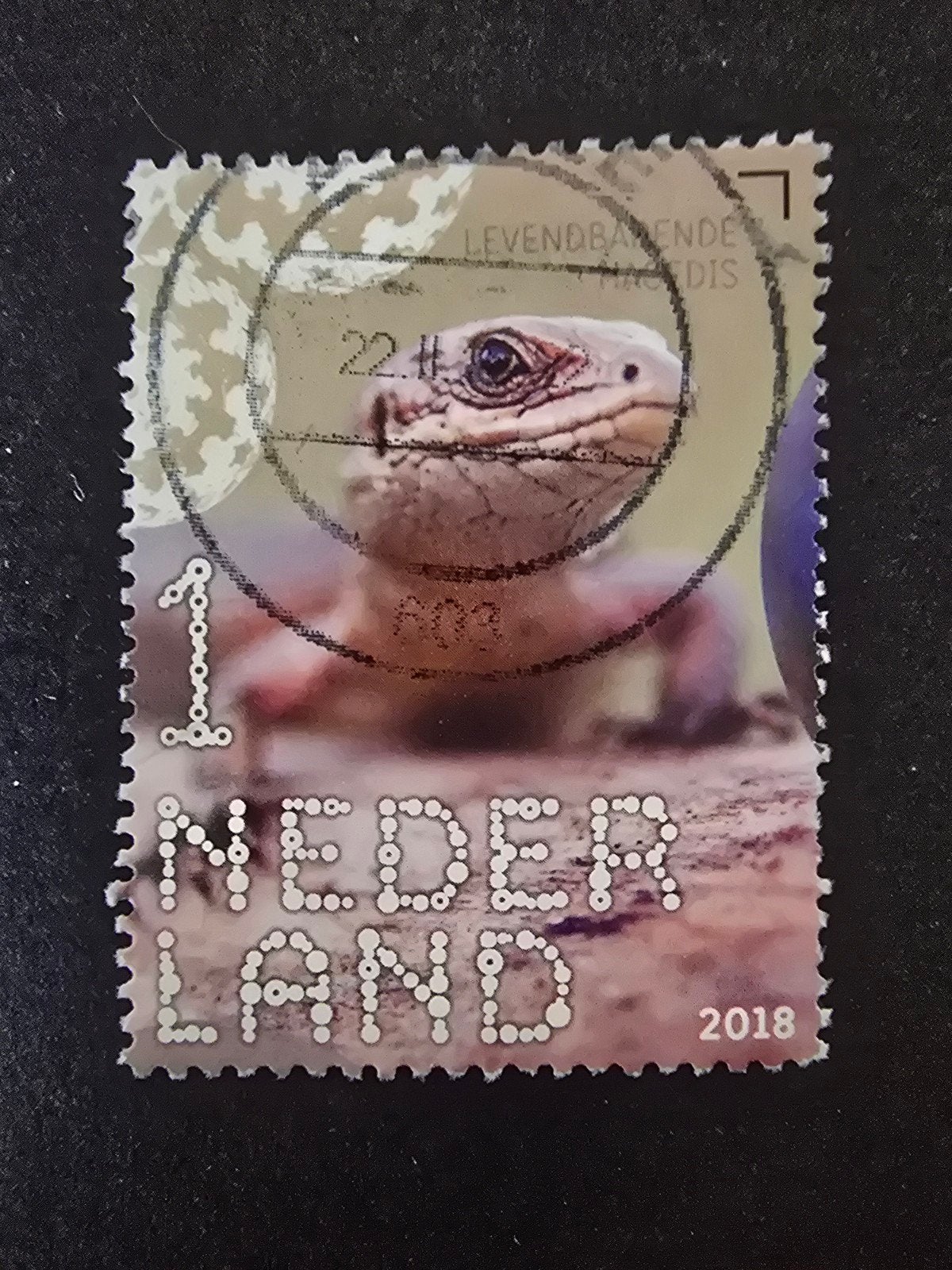 Beleef de Natuur 2018 - Levendbarende Hagedis, Ophalen of Verzenden, Na 1940, Gestempeld