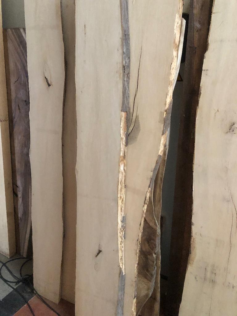 Witte beuk schaaldelen boomplank snijplank wandplanken, Ophalen of Verzenden, Nieuw