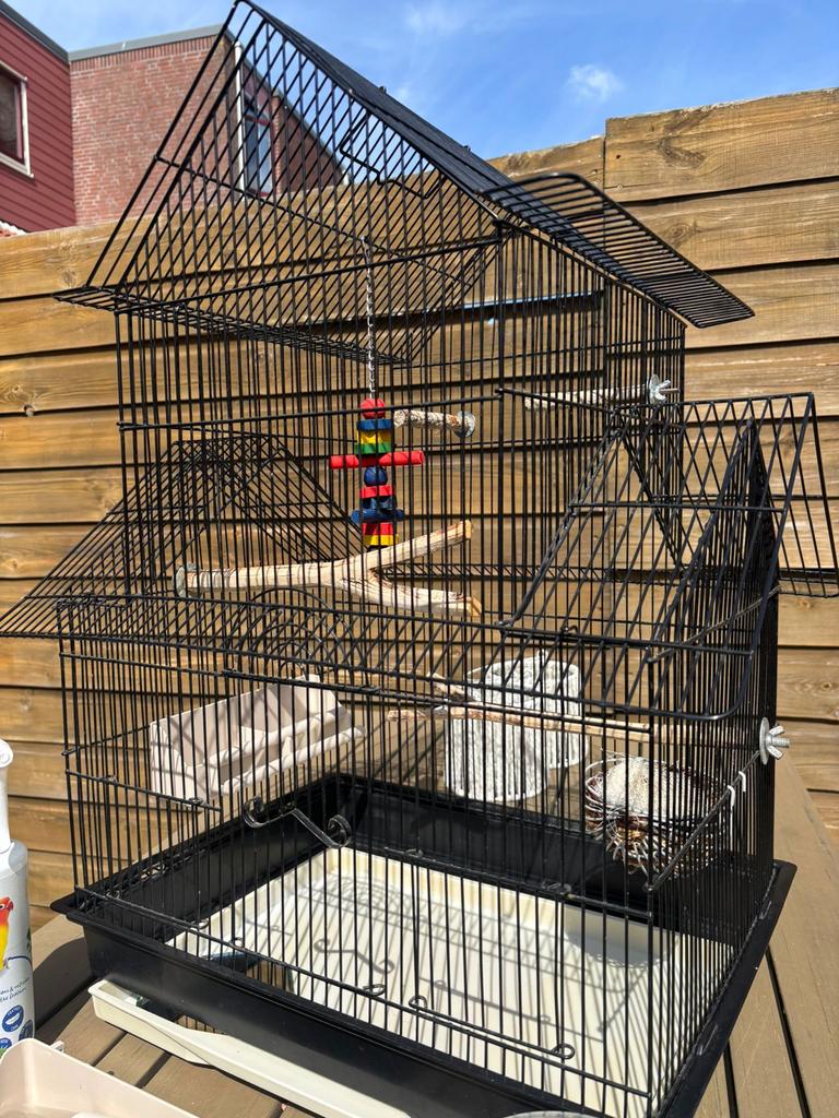 Vogelkooi zwart Compleet met Accessoires!!, Ophalen, Zo goed als nieuw, Metaal, Vogelkooi