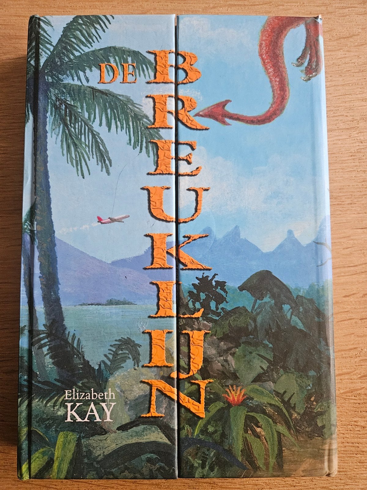 De Breuklijn - Elizabeth Kay - Spannend jeugdboek, Boeken, Ophalen of Verzenden, Gelezen, Elizabeth Kay