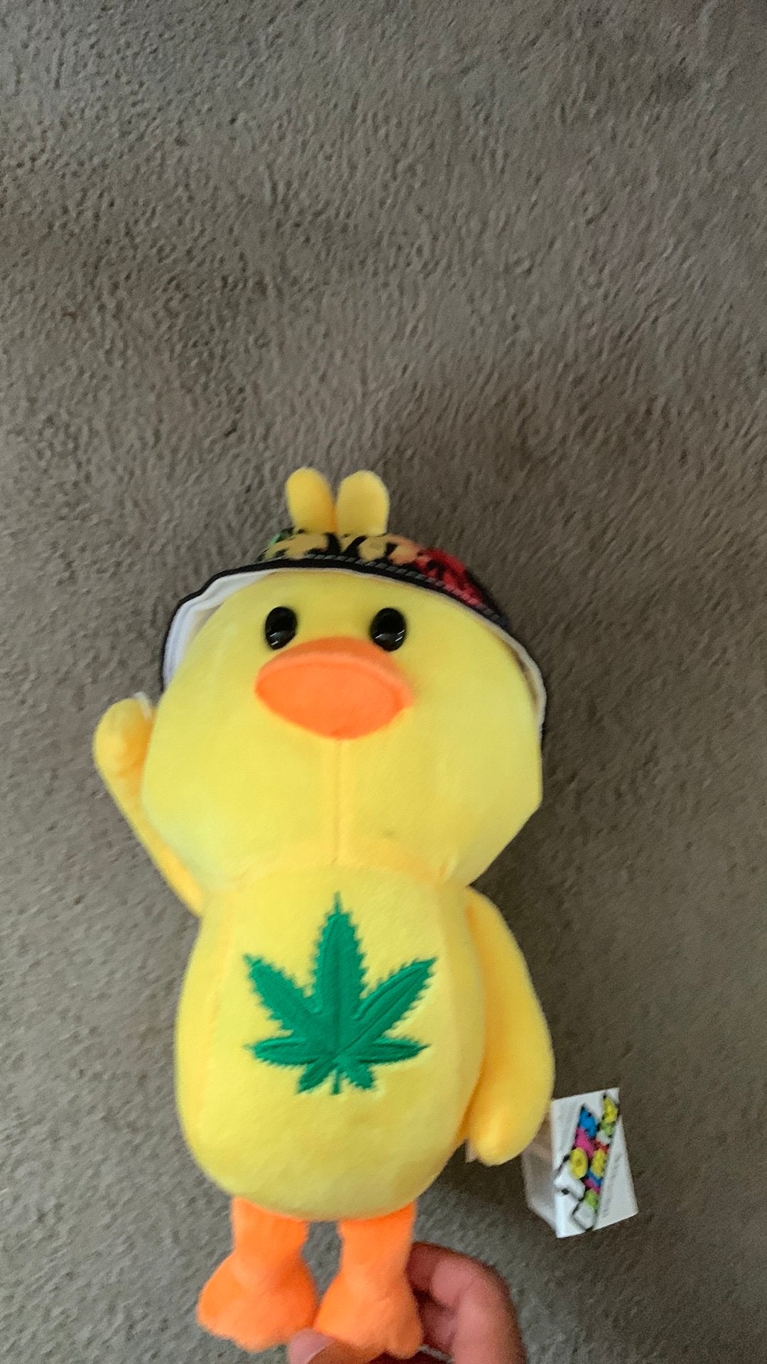 Mooie eend knuffel, Ophalen, Zo goed als nieuw, Eend