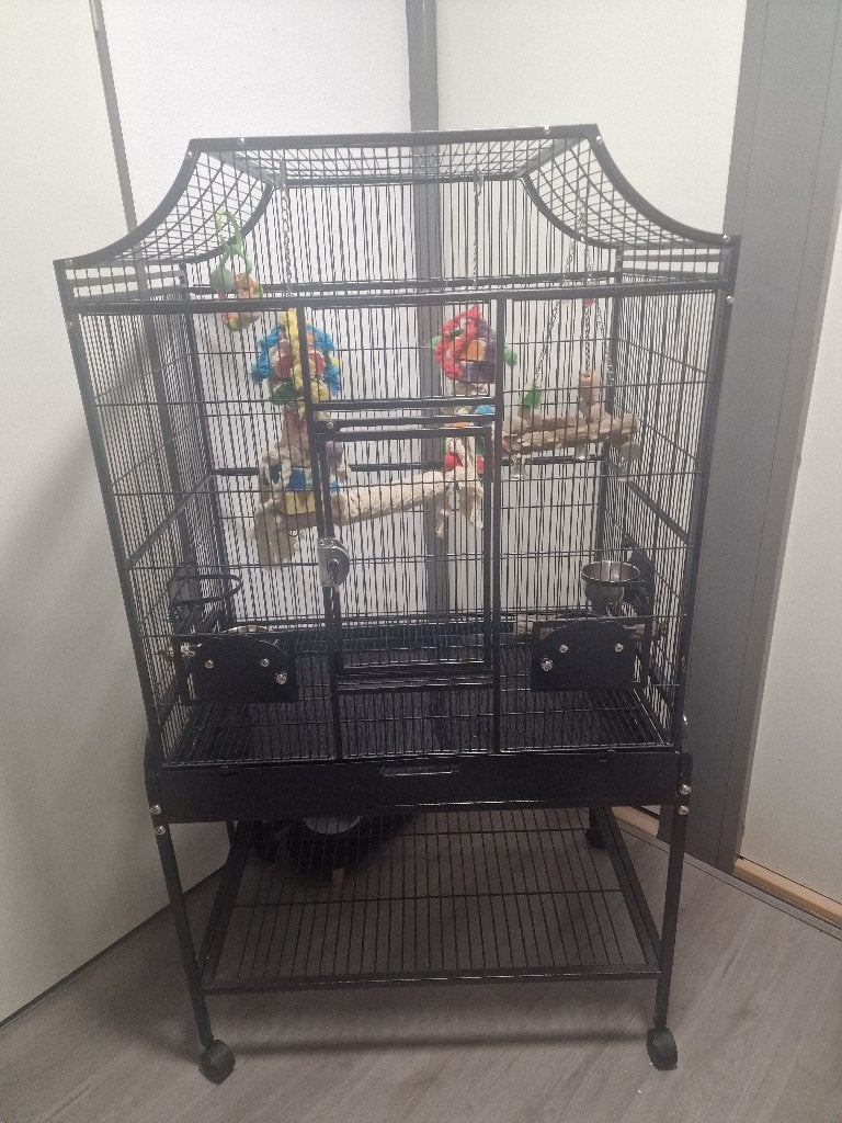 Vogelkooi, Ophalen, Nieuw, Metaal, Vogelkooi