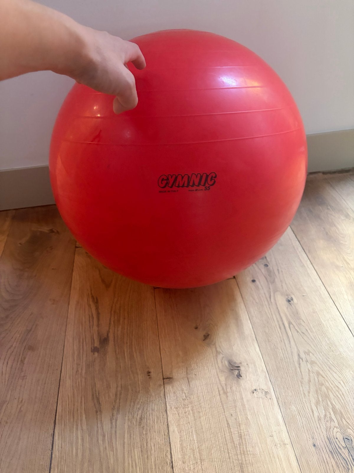 Gymnic fitnessbal 55cm, Ophalen, Gebruikt, Buik, Fitnessbal