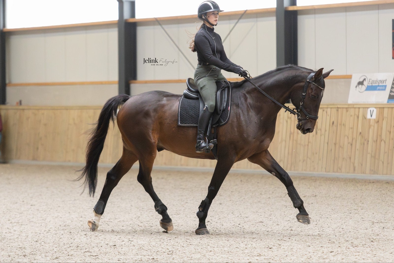 Bijrijdpaard / leasepaard / trainingspaard gezocht, Ophalen