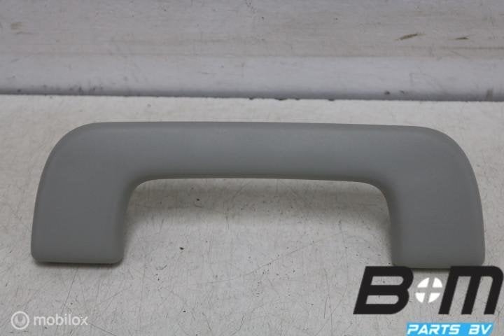 Handgreep voorzijde Audi A3 8V SB E-tron 8V0857607, Gebruikt