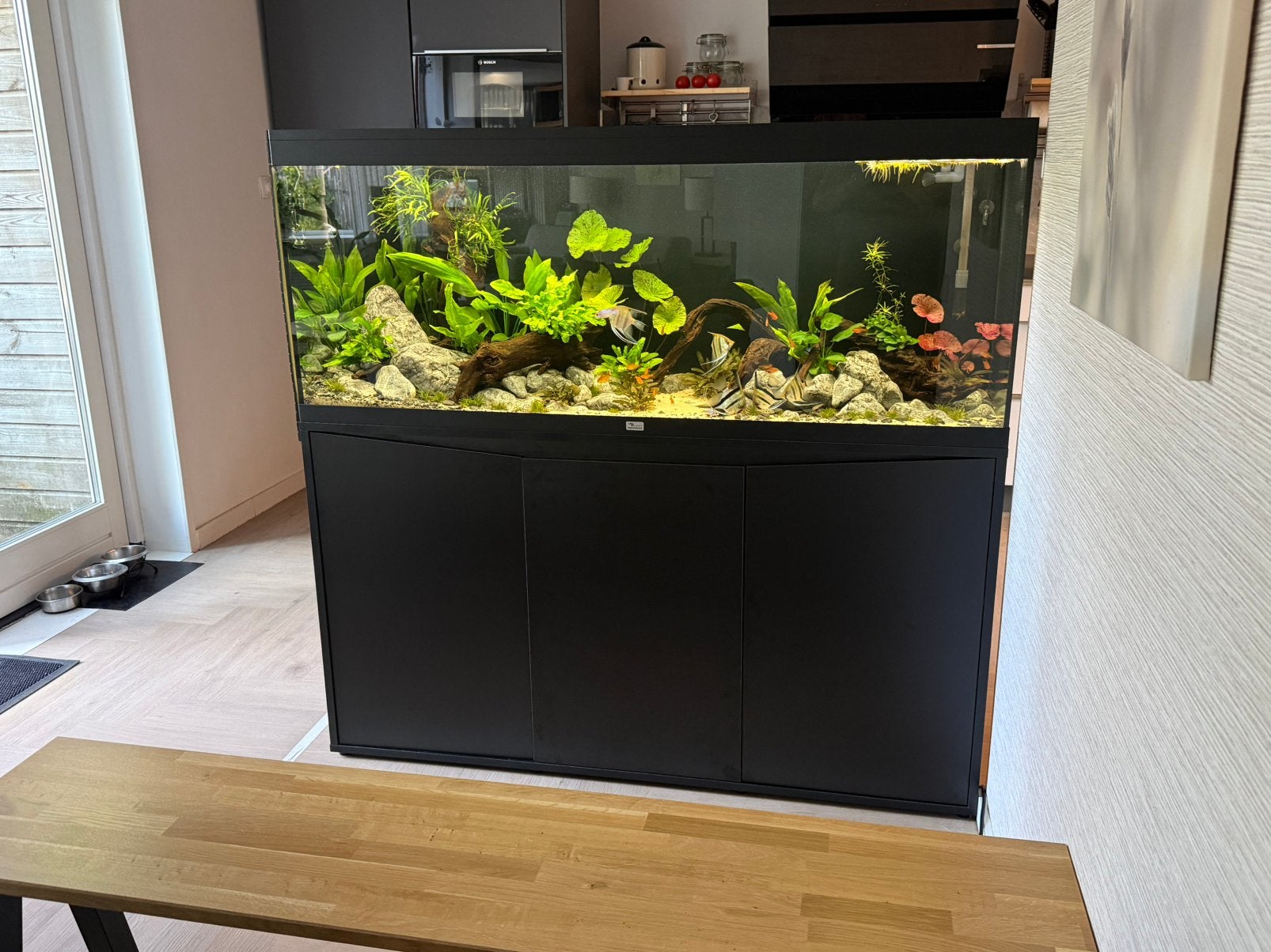 Aquatlantis Aqualantis Splendid ultra 150x40x60 (5mnd oud), Dieren en Toebehoren, Vissen | Aquaria en Toebehoren, Zo goed als nieuw