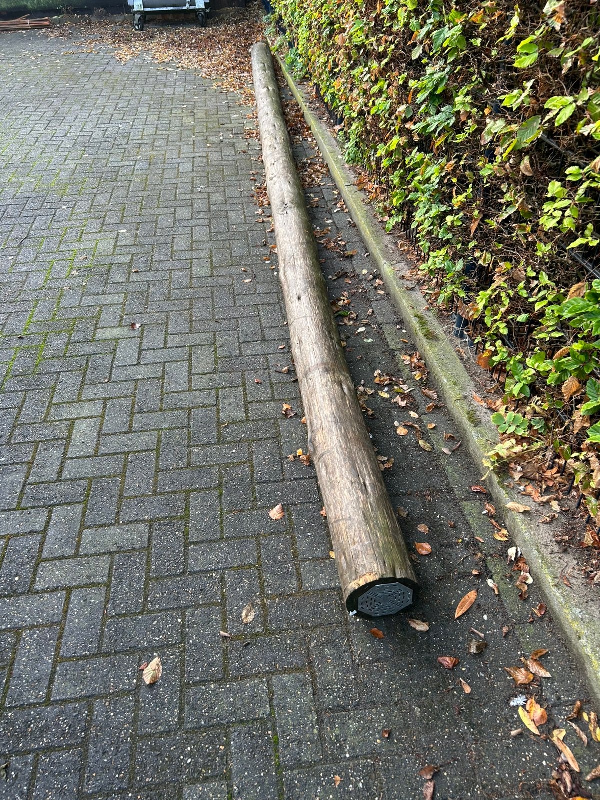 Hardhouten paal, Ophalen, Palen, Nieuw, Hardhout