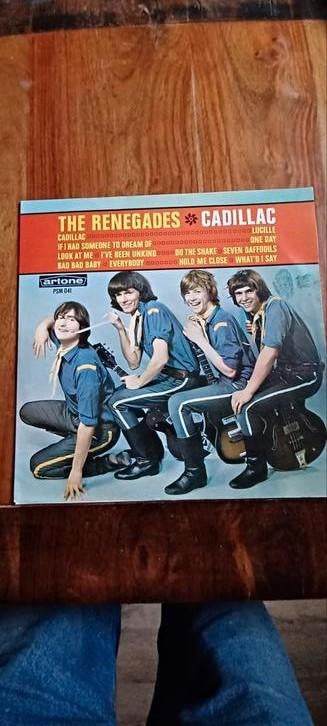 The Renagades, Ophalen of Verzenden, Gebruikt, 12 inch