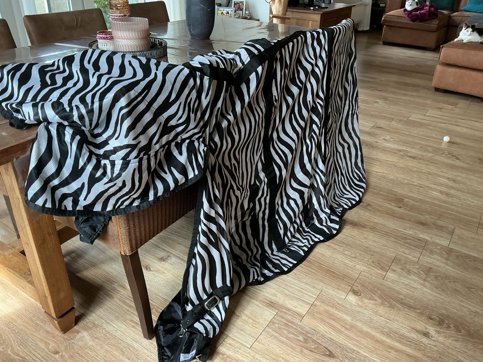 Nieuwe zebra vliegen deken, Vliegendeken, Nieuw, Ophalen of Verzenden, Polyester