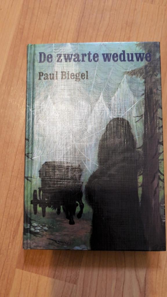De Zwarte Weduwe - Paul Biegel (Hardcover), Ophalen of Verzenden, Gelezen, Paul Biegel, Nederland