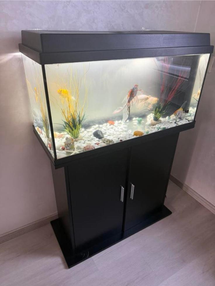 Aquarium incl kast, Ophalen of Verzenden, Zo goed als nieuw, Gevuld zoetwateraquarium