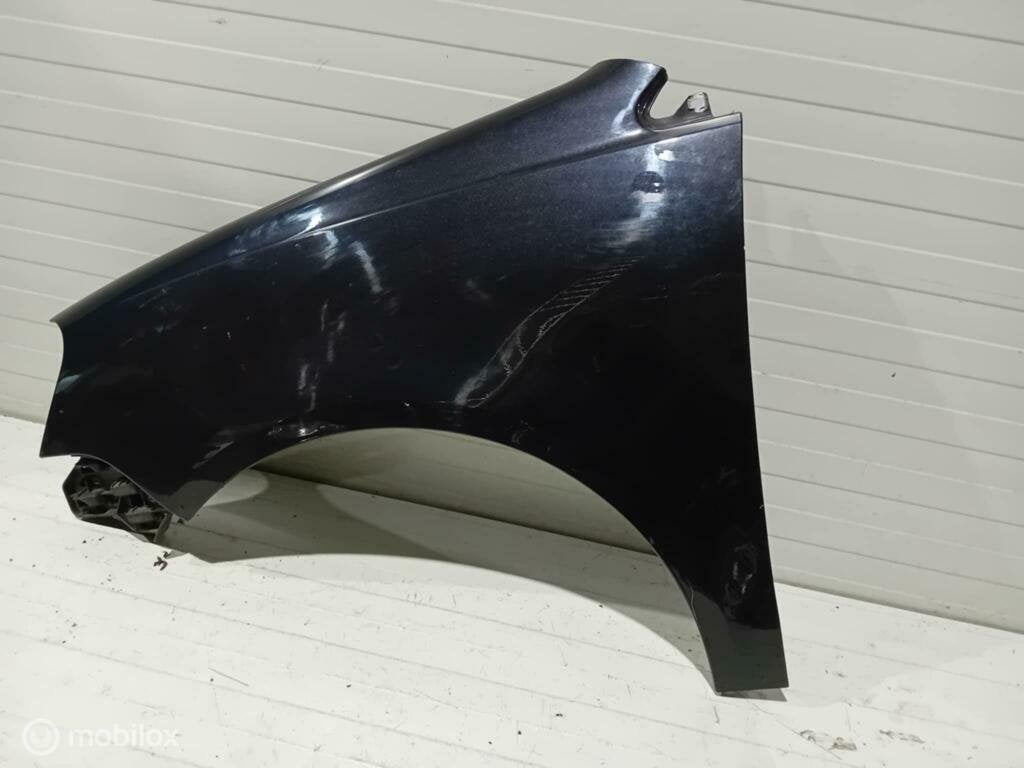Spatscherm Volkswagen Polo, Gebruikt, Ophalen of Verzenden