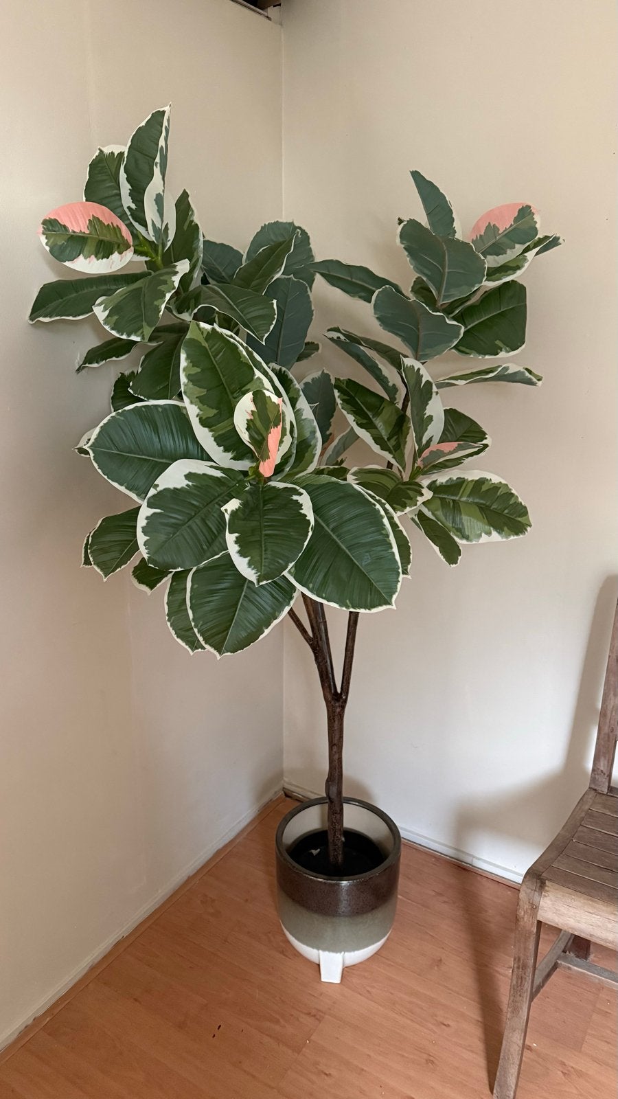 IKEA Kunstplant Ficus Elastica Tineke (Rubberplant), Binnen, Kunstplant, Ophalen of Verzenden, Zo goed als nieuw