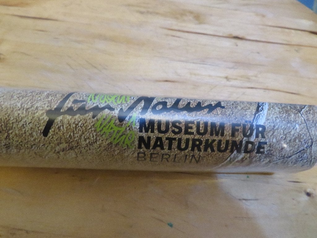 archaeopteryx poster museum fur naturkunde berlin, Rechthoekig Staand, Ophalen of Verzenden, Zo goed als nieuw, A1 t/m A3