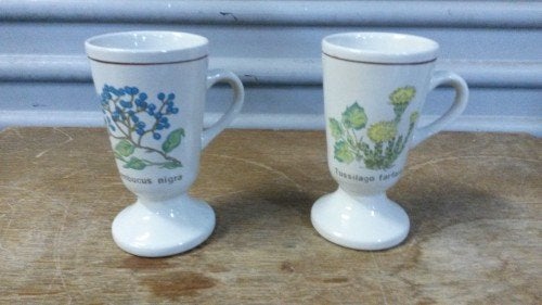 Koffiemokken op voet, 2 stuks met afbeelding: 1x Sambucus Ni, Ophalen of Verzenden, 'T Olde Gre-j, Info@toldegrej.nl, Endepoelstraat 20f Didam
