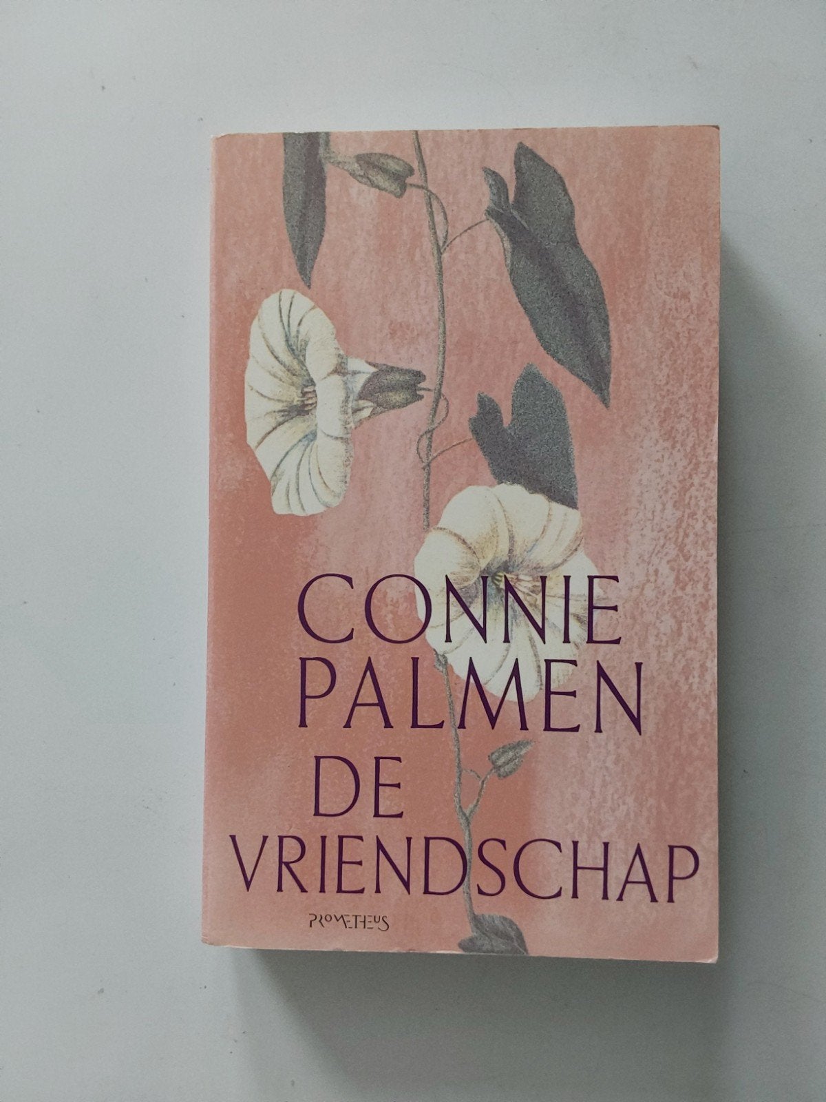 Connie Palmen : De Vriendschap, Boeken, Gelezen, Ophalen of Verzenden, Nederland, Connie Palmen