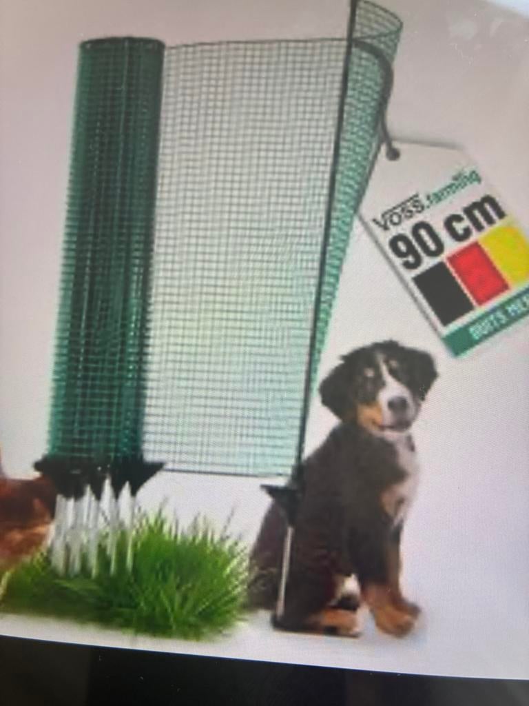 Afrastering hond, Ophalen of Verzenden, Zo goed als nieuw