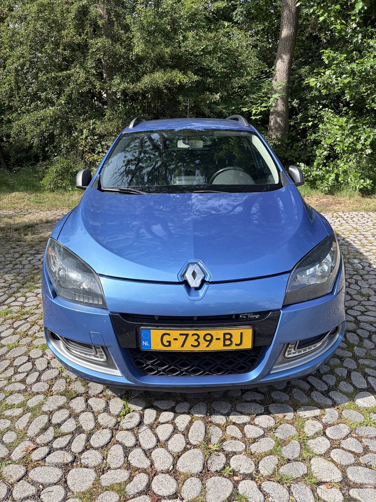 Renault Mégane 1.4 16V TCE GT | NIEUWE MOTOR BIJ 170.000 KM, Auto's, Renault, Voorwielaandrijving, Zwart, 4 cilinders, Blauw
