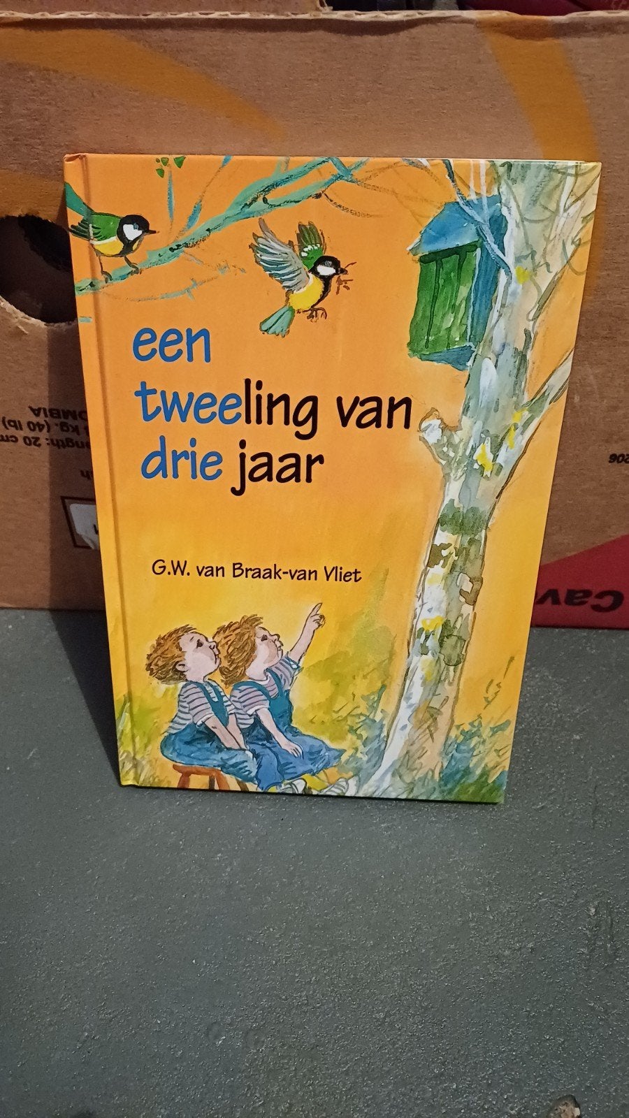 Een tweeling van drie jaar - G.W. van Braak-van Vliet, Gelezen, Fictie algemeen, Jongen of Meisje, Ophalen of Verzenden