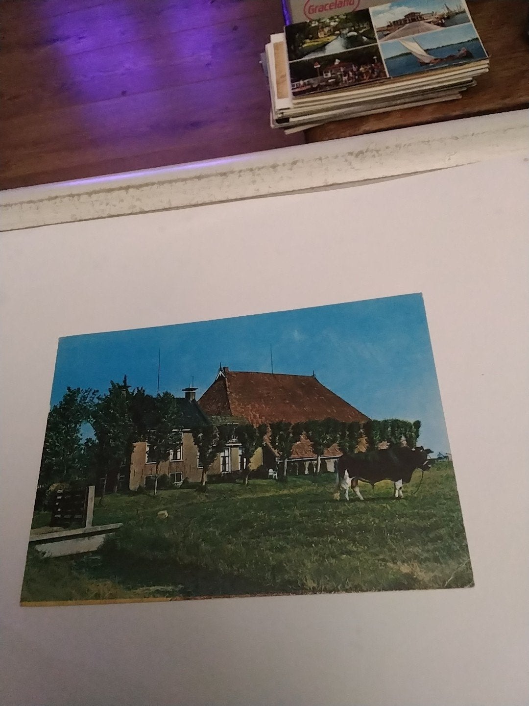 Oude ansichtkaart: Friese boerderij met koe, Ophalen of Verzenden